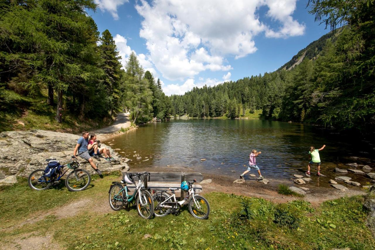 Naturpark Huette Mandl, Biobauernhof & Huettenurlaub Sankt Lambrecht Kültér fotó