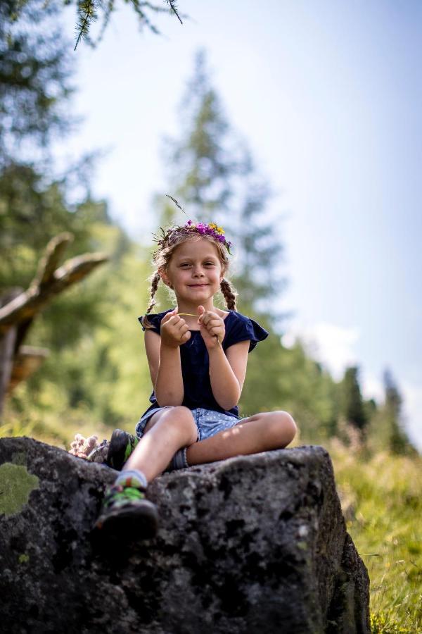 Naturpark Huette Mandl, Biobauernhof & Huettenurlaub Sankt Lambrecht Kültér fotó